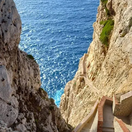 Bs7 * Alghero